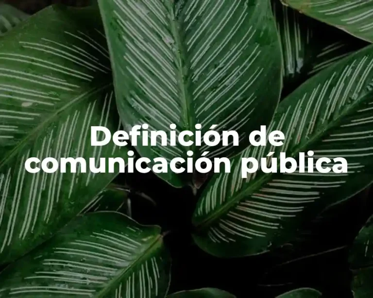 Definición de comunicación pública