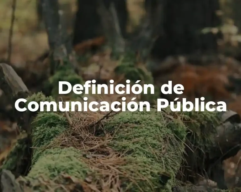 Definición de Comunicación Pública