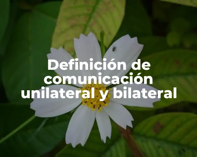 Definición de comunicación unilateral y bilateral