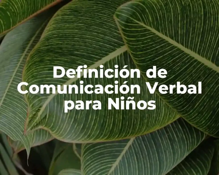 Definición de Comunicación Verbal para Niños