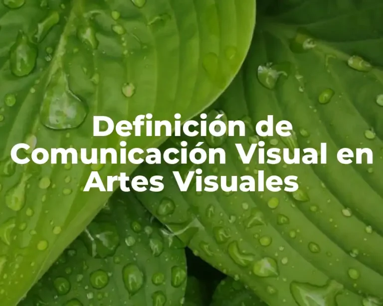 Definición de Comunicación Visual en Artes Visuales