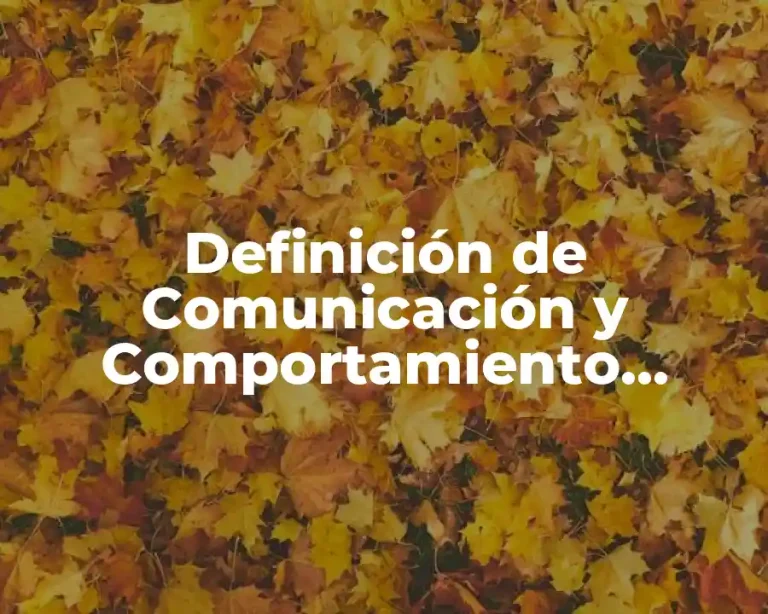 Definición de Comunicación y Comportamiento Asertivo