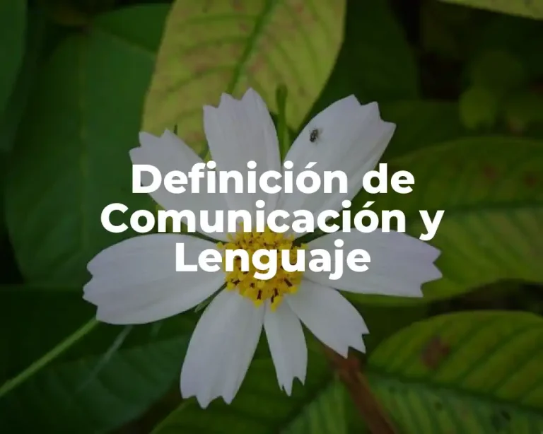Definición de Comunicación y Lenguaje