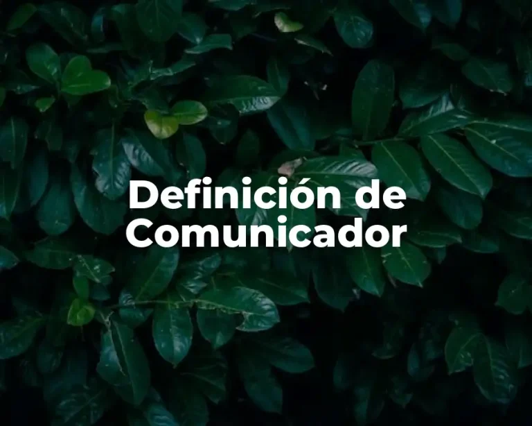 Definición de Comunicador