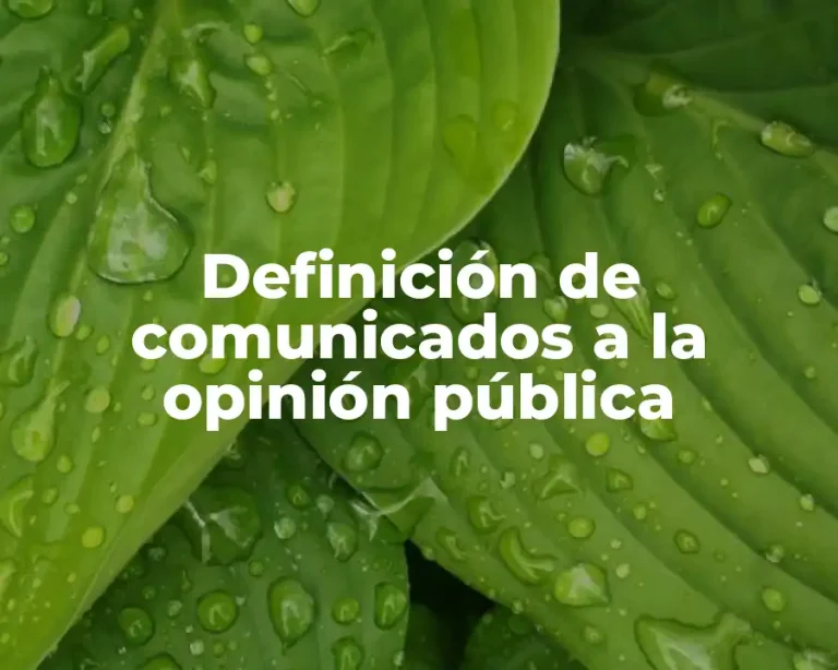 Definición de comunicados a la opinión pública