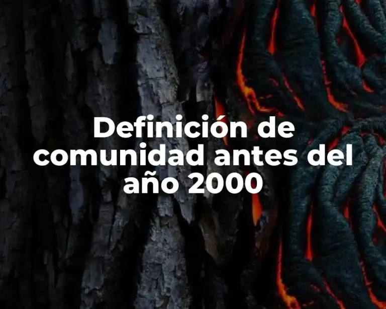 Definición de comunidad antes del año 2000
