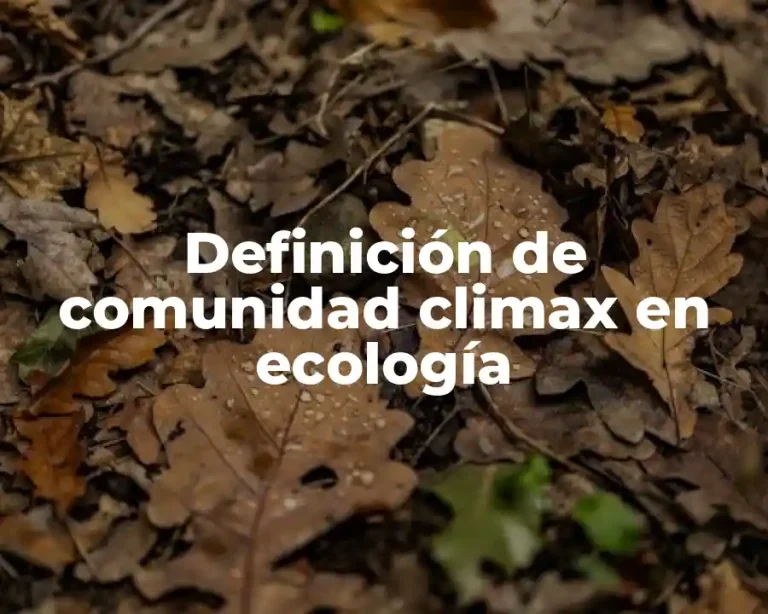 Definición de comunidad climax en ecología