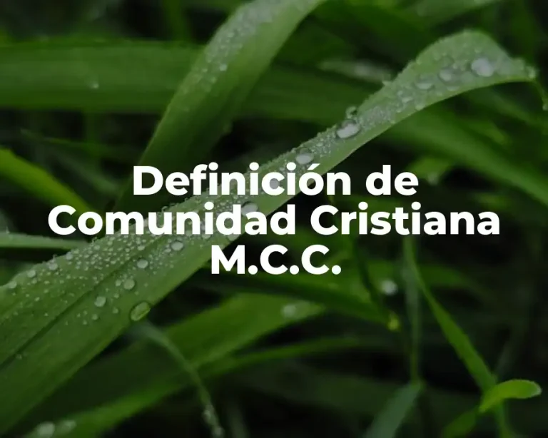 Definición de Comunidad Cristiana M.C.C.
