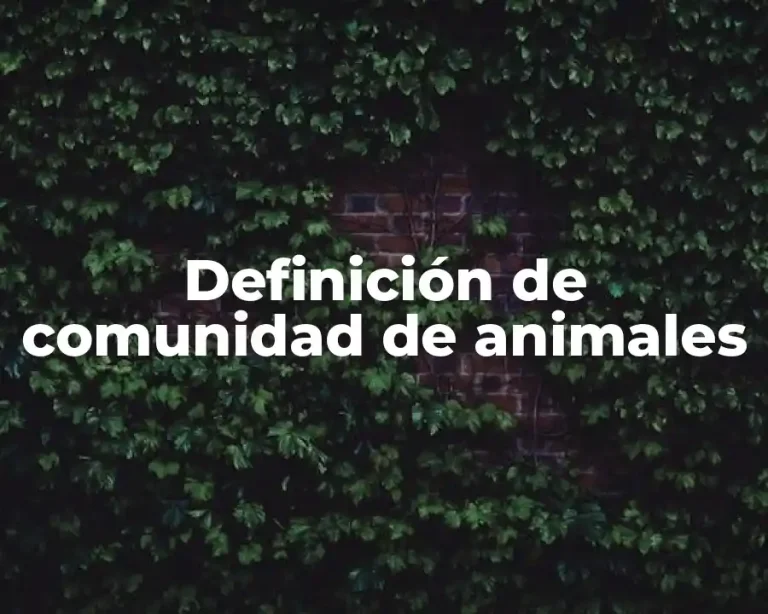 Definición de comunidad de animales