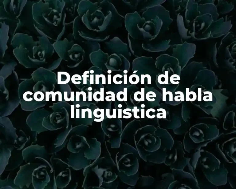 Definición de comunidad de habla linguistica