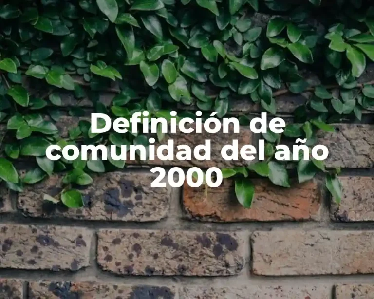 Definición de comunidad del año 2000