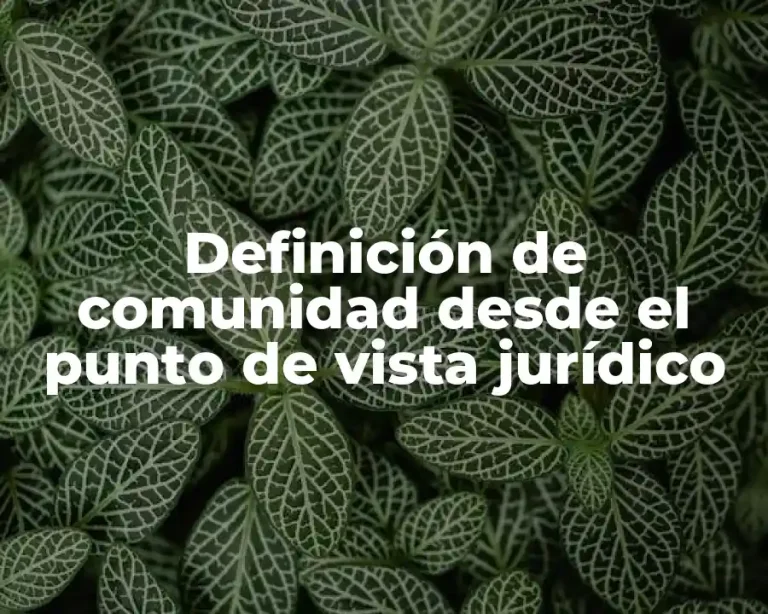Definición de comunidad desde el punto de vista jurídico