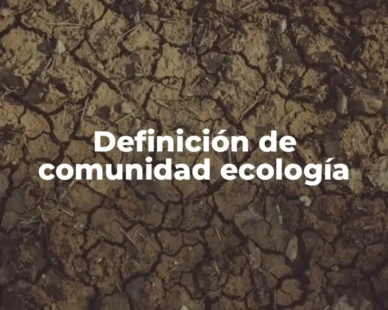 Definición de comunidad ecología