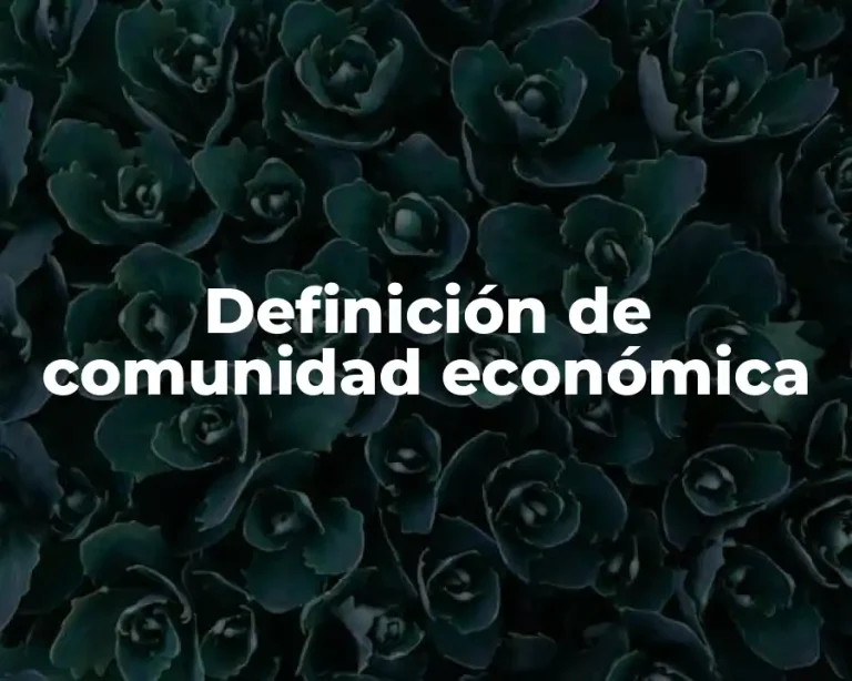 Definición de comunidad económica
