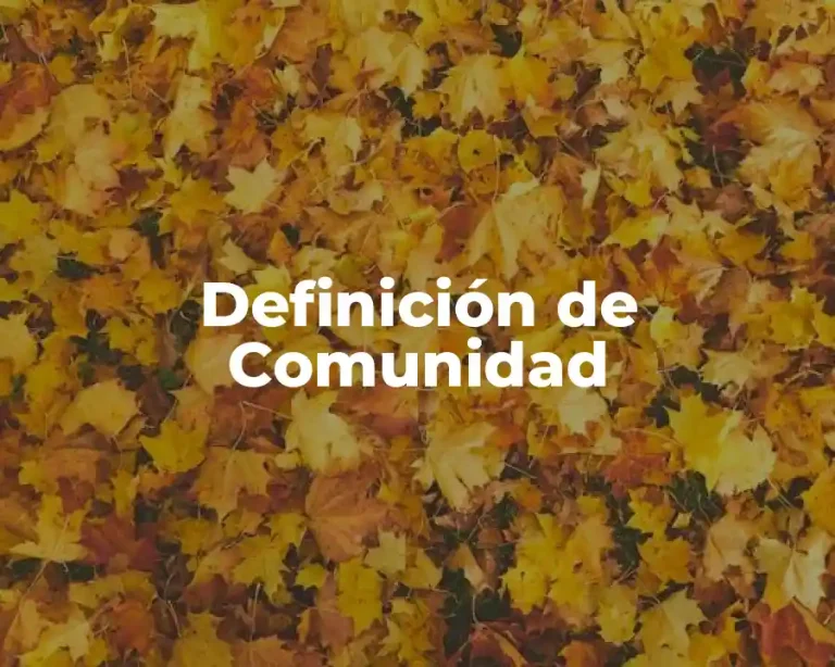 Definición de Comunidad