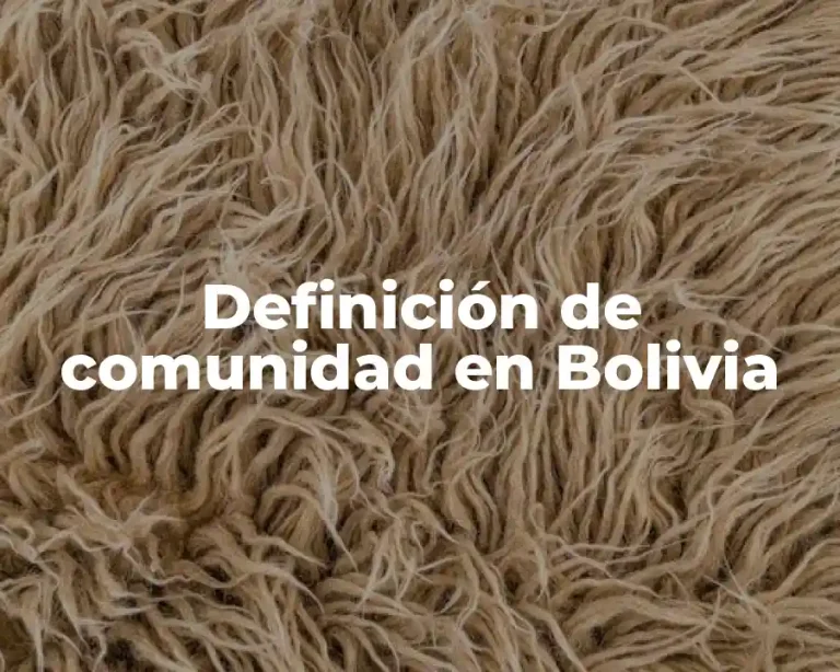 Definición de comunidad en Bolivia