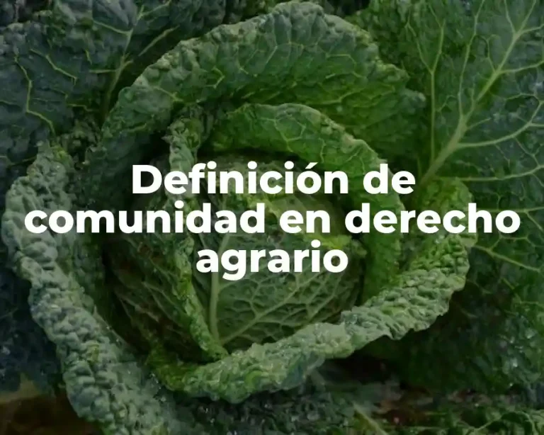 Definición de comunidad en derecho agrario