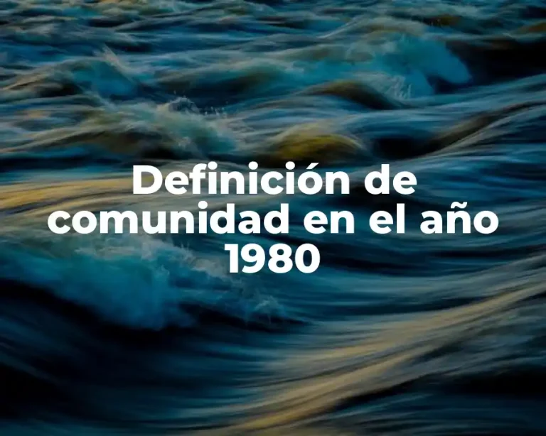 Definición de comunidad en el año 1980