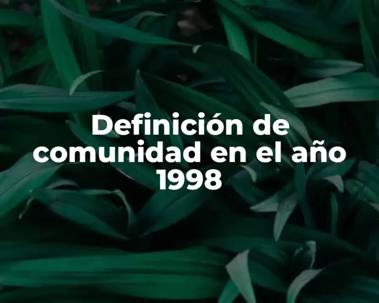 Definición de comunidad en el año 1998