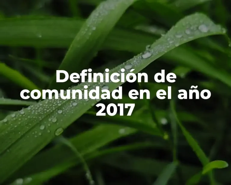 Definición de comunidad en el año 2017