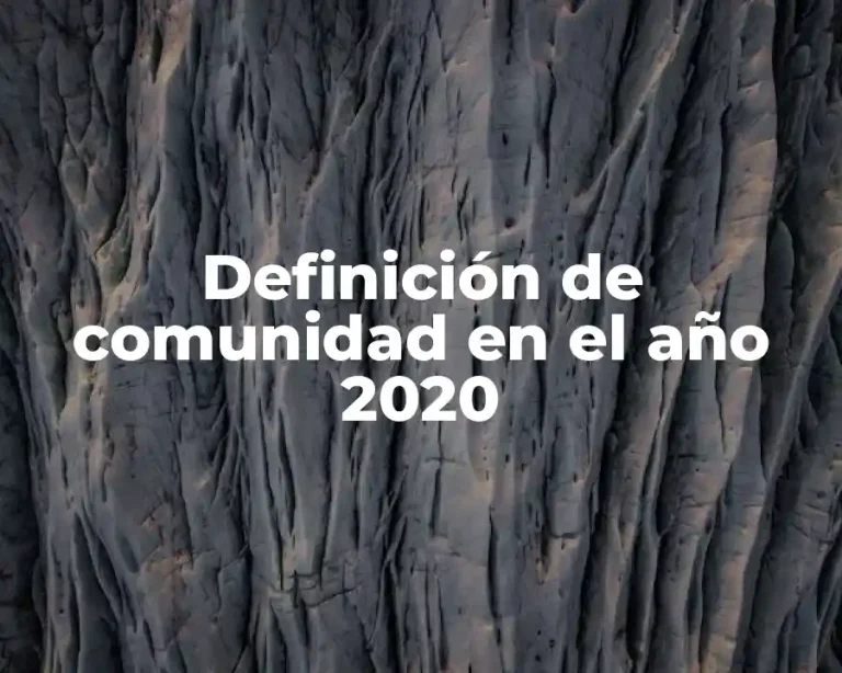 Definición de comunidad en el año 2020