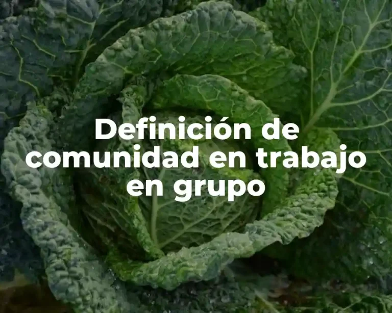 Definición de comunidad en trabajo en grupo