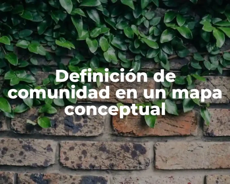 Definición de comunidad en un mapa conceptual