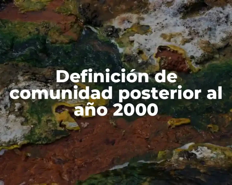 Definición de comunidad posterior al año 2000