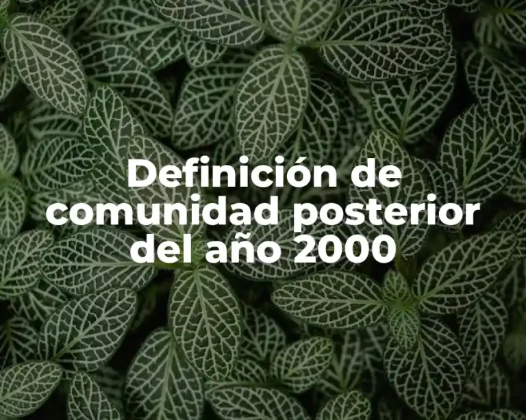 Definición de comunidad posterior del año 2000