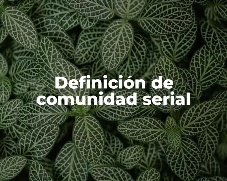 Definición de comunidad serial