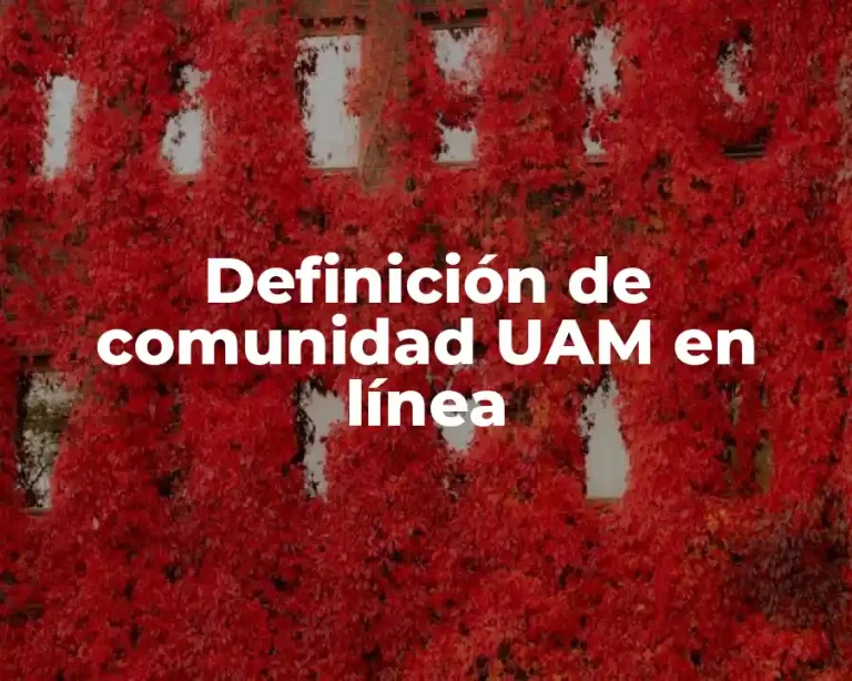 Definición de comunidad UAM en línea