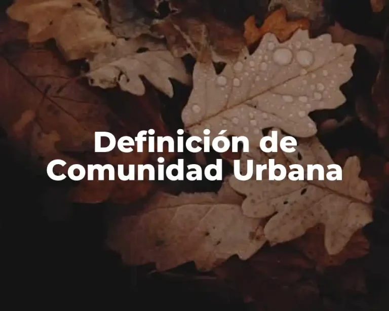 Definición de Comunidad Urbana