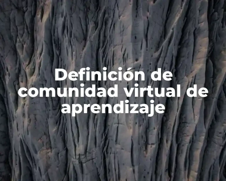 Definición de comunidad virtual de aprendizaje