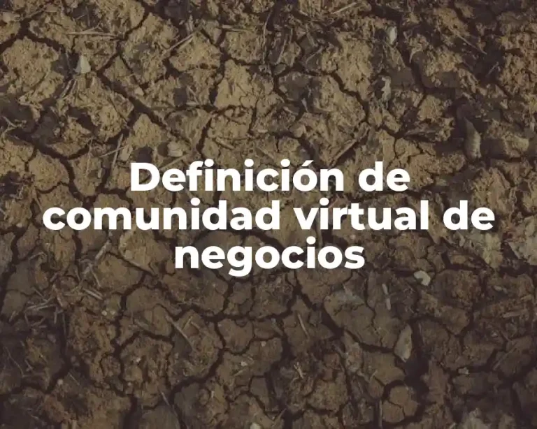 Definición de comunidad virtual de negocios
