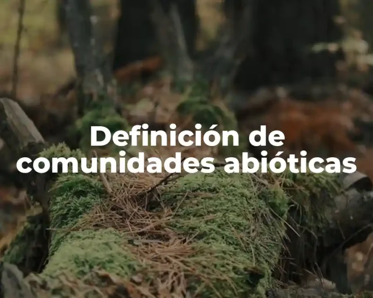 Definición de comunidades abióticas
