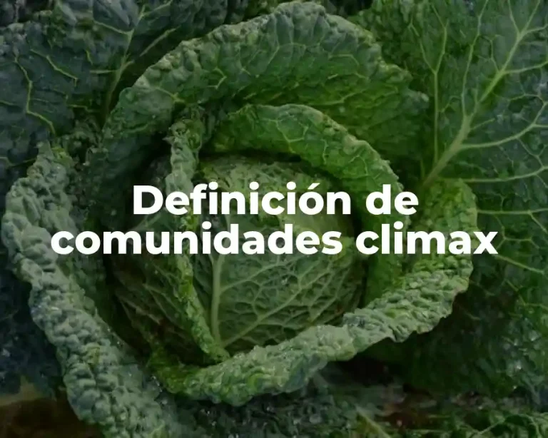 Definición de comunidades climax