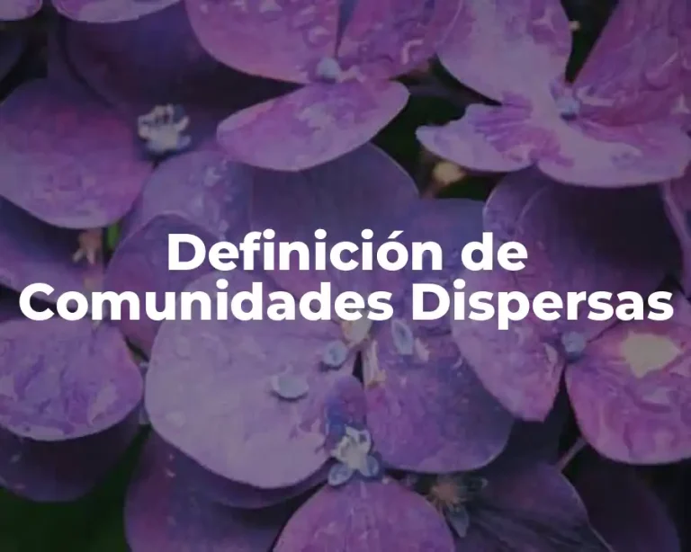 Definición de Comunidades Dispersas