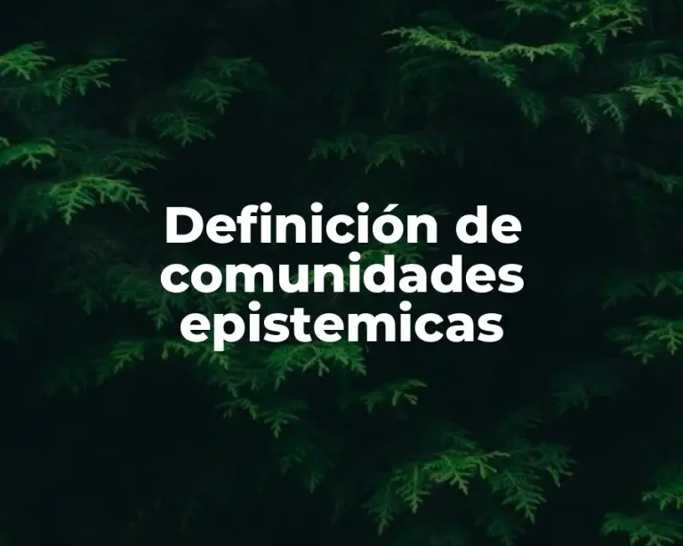 Definición de comunidades epistemicas