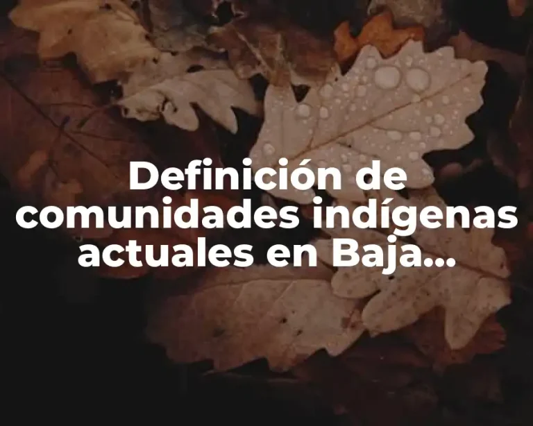 Definición de comunidades indígenas actuales en Baja California