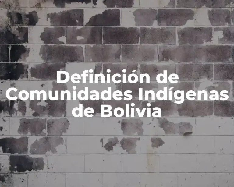 Definición de Comunidades Indígenas de Bolivia