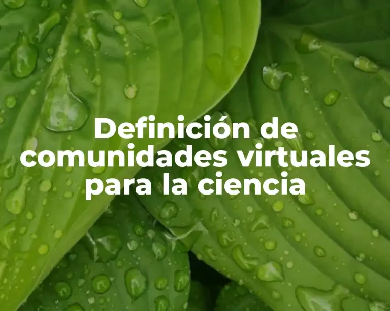 Definición de comunidades virtuales para la ciencia