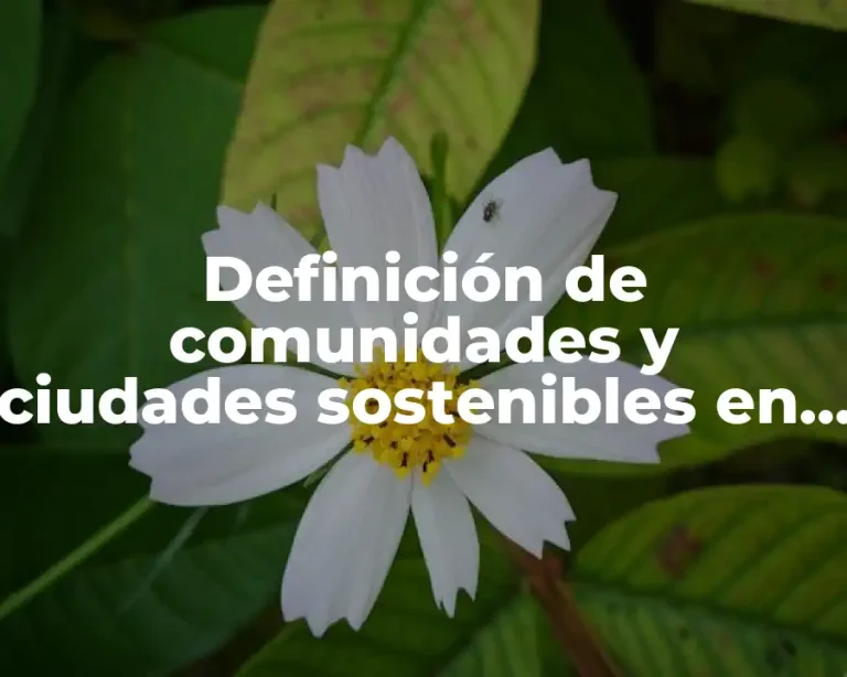 Definición de comunidades y ciudades sostenibles en el mundo