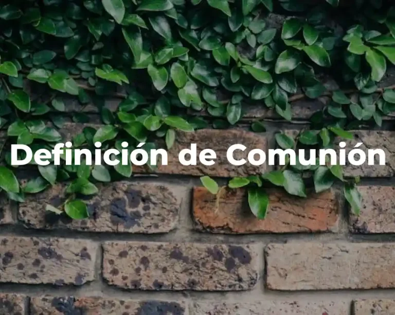 Definición de Comunión
