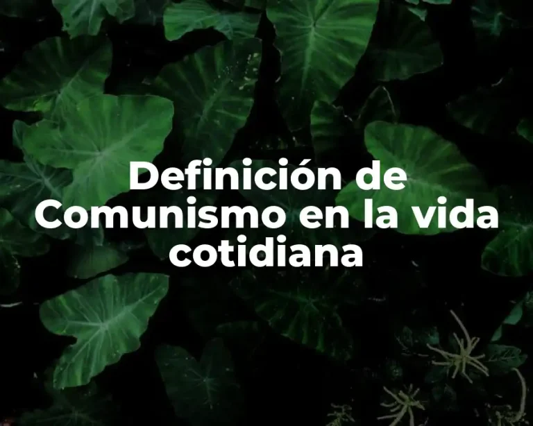 Definición de Comunismo en la vida cotidiana