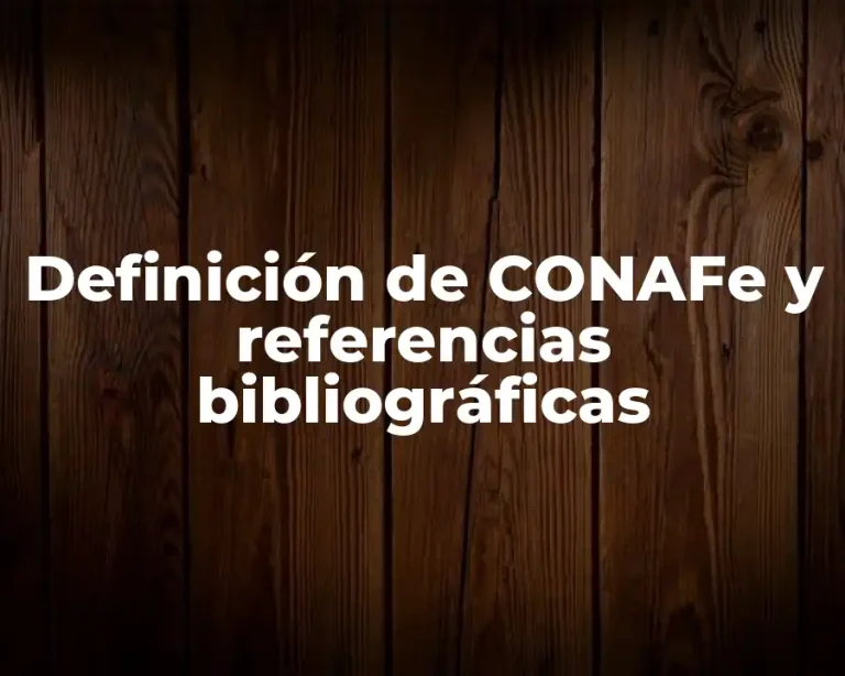 Definición de CONAFe y referencias bibliográficas