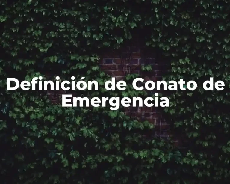 Definición de Conato de Emergencia