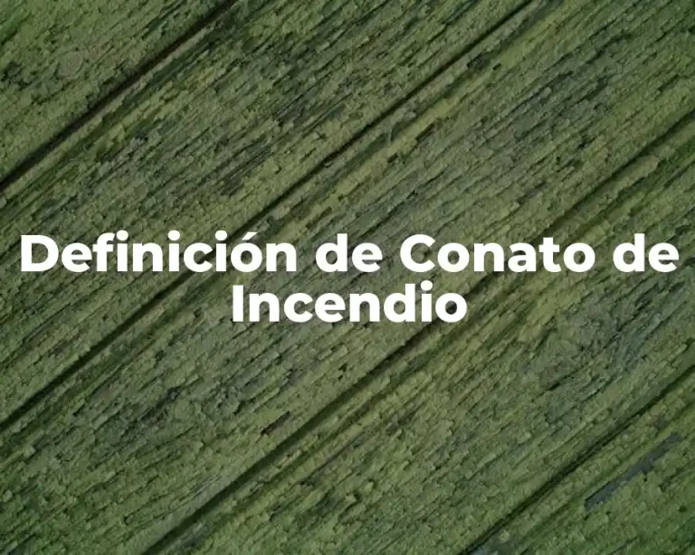 Definición de Conato de Incendio