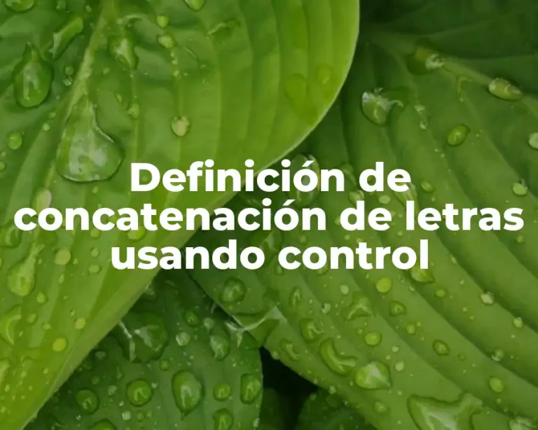 Definición de concatenación de letras usando control