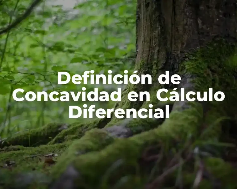 Definición de Concavidad en Cálculo Diferencial