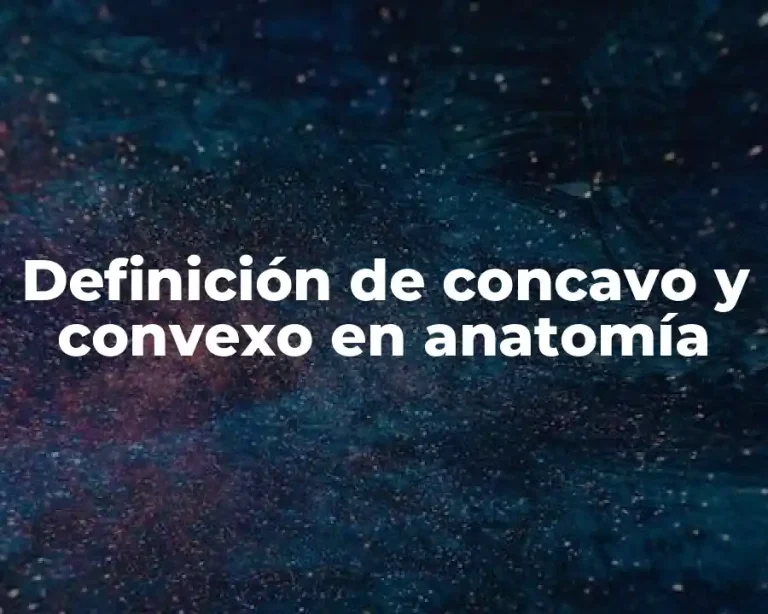 Definición de concavo y convexo en anatomía